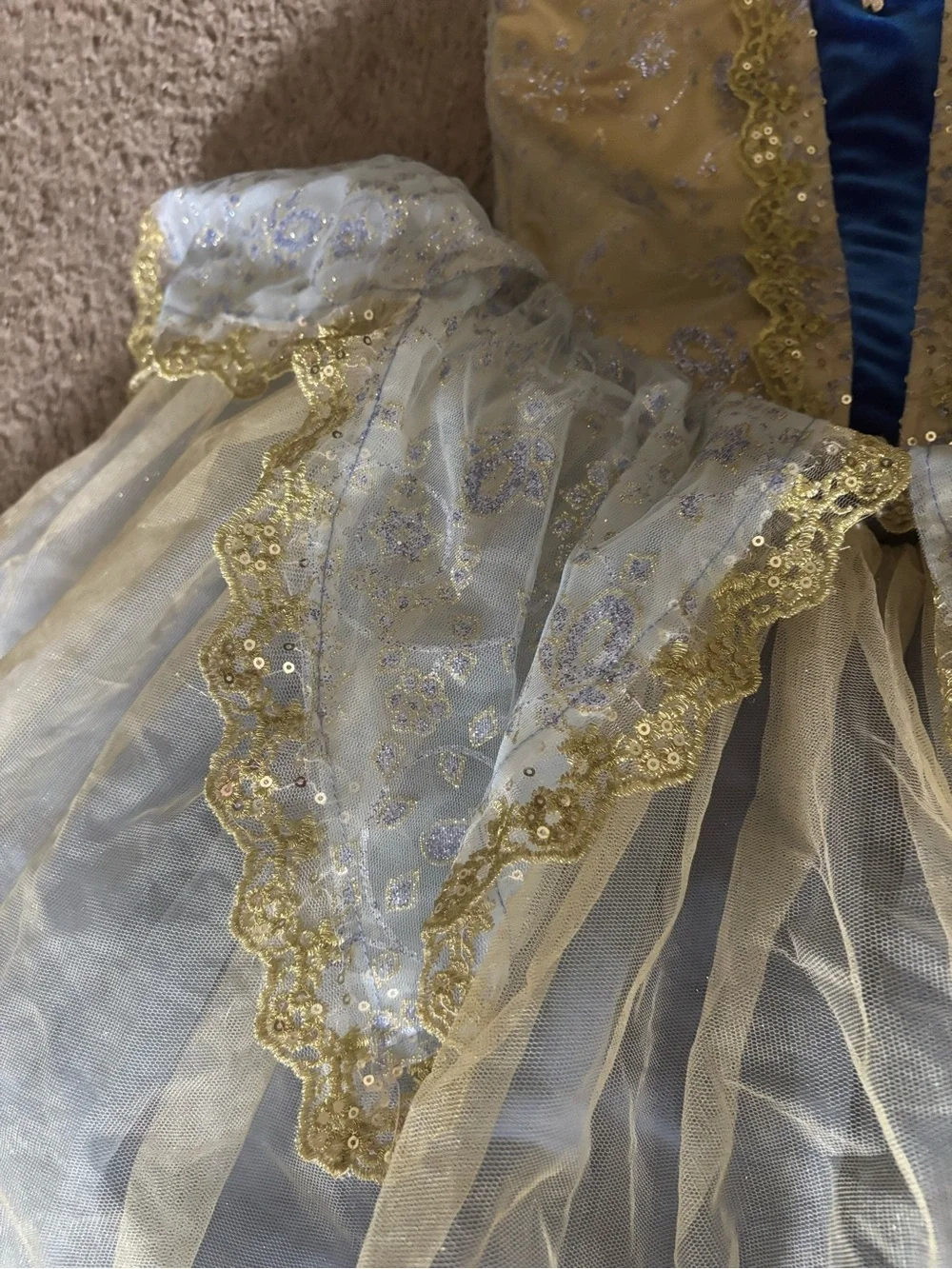 Girls Gold and Blue Ballet Costume